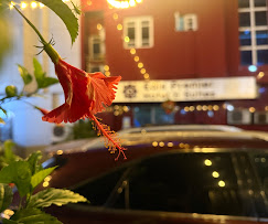 EDIS PREMIER HOTEL